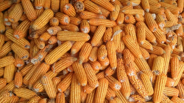 pipoca doce industrializada